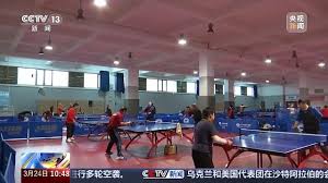 BB贝博艾弗森官网 二宫里有户外乒乓球台子吗